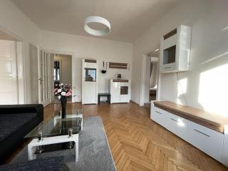 Velký Spacious Apartment Ostrava centrum - 9