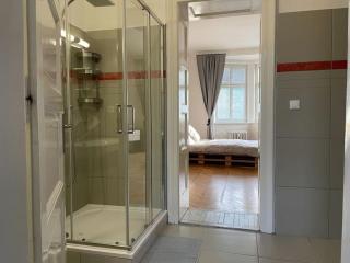 Velký Spacious Apartment Ostrava centrum - 8