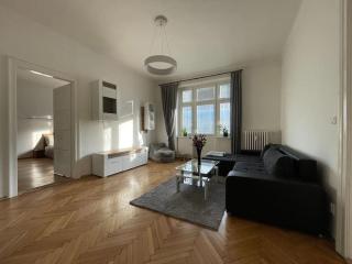 Velký Spacious Apartment Ostrava centrum - 5
