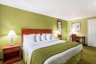 Quality Inn - Weston - 2