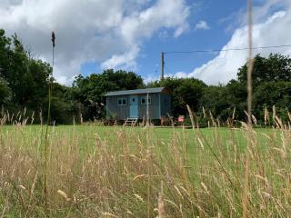 St. Kew Shepherd Huts - Wadebridge - 7