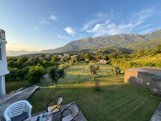 Apartment Raskovic - Kotor - 2