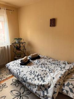 Cozy place in Tg Secuiesc - Tîrgu Secuiesc - 6