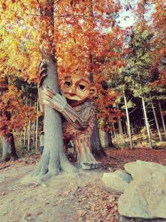 Ferienwohnung für Familien im Bayrischen Wald - 8