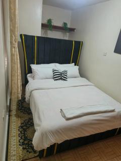 Lavish 1 bedroom apartments in TRM Thika road - Nairobi - 5