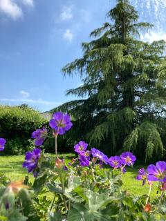 Double J - Omaha beach - 5