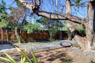 Villa l'Almendro - La Saline les Bains - 7