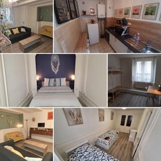 Charmant et spacieux appartement au centre ville - La Bohème - Mulhouse - 0