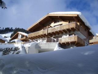 Haus Frida Top 33 - Königsleiten - 2