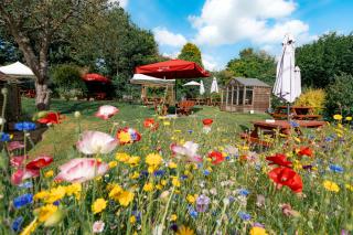 the Cartwheel Inn - 5