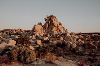 High Desert Paradise By The Cohost Company - Yucca Valley - 1