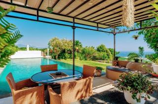 Dolphin Villa Lovina - Temukus - 7