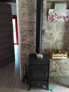 Agriturismo antico mulino sul Dolo - La vecchia casa in sasso - Montefiorino - 1