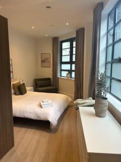 Stylish Spacious Studio, Central London- Zone 1 - Londra - 0
