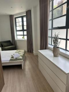 Stylish Spacious Studio, Central London- Zone 1 - Londra - 6