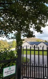 Ballyhoura Farm Escape Alpacas & Pet Lamb Feeding - 0