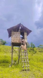 Rumsram homestay rumah etnik papua - Sorong - 3