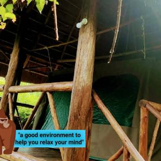 Kibale Forest Cottages And Campsite - Fort Portal - 2