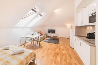 Imperial Loft Apartment - Prague - 2