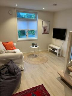 Lite hus 15 min fra Oslo - 7