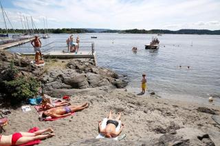 Lite hus 15 min fra Oslo - 3