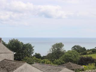 Driftwood Cottage - St Austell - 9