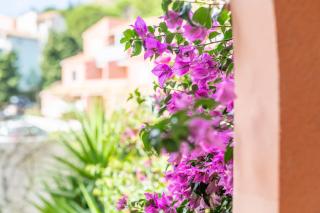 Meu Delit - Cerbère - 5