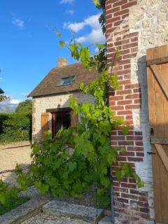 Grande Maison en bord de Seine - Muids - 2