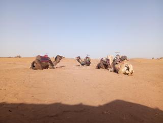 Dar Brahim Sahara activité - Tâlhâ - 6