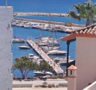 Noctua Estepona Puerto 021 - Estepona - 7