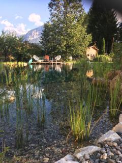 Apartment in traumhafter Lage mit Naturbadeteich - Ferlach - 9