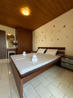 -Tsiakos Apartment- in Vryses - Kyparissia - 9