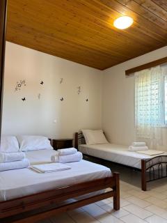 -Tsiakos Apartment- in Vryses - Kyparissia - 7