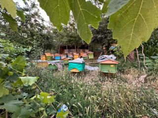 Vila Dervish ÇELA - MOKER - Pogradec - 1