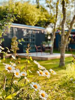 The Field Room - Hut on The Lizard - Helston - 3