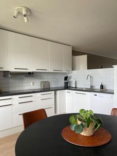 Apartment for rent during ONS less than 100m from the exhibition area - Stavanger - 8