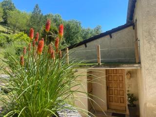 Le petit roquet - 3