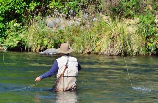 La Pilarica River & Mountain Lodge - 7