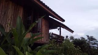 บ้านไร่ชายเขาวังน้ำเขียวฟาร์มสเตย์ - Ban Kom - 9