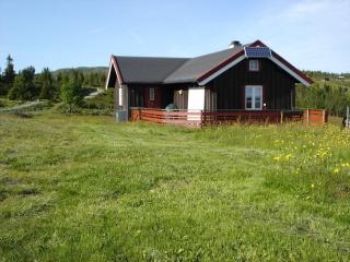 Hytte på fjellet, med mange turmuligheter ! - Gol - 2
