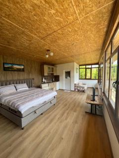 Guest House Milka - Yagodina - 8