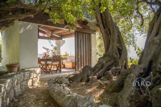 Villa Bonnard in Nice Sea and city View & Pool - Nizza - 3
