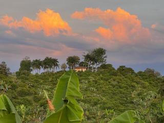 Finca Montenegro - Armenia - 3