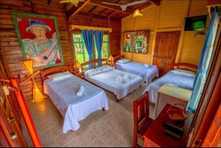 Finca Hotel El Ocaso - Quimbaya - 7