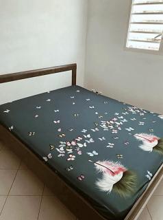 T2 Proche de la Plage du Souffleur - Villa Minerva - 5