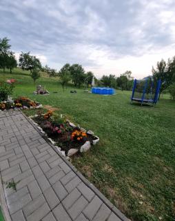 Levender House - Dealu - 0