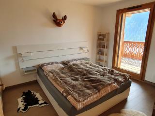 Perle de Savoie Free multipass offer for 4 guests - Châtel - 9