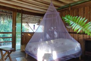 Amazonas Life Camp - 4