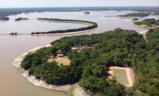 Amazonas Life Camp - 3