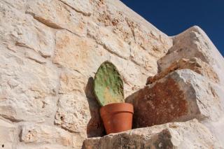 Trullo white moon - Ostuni - 1